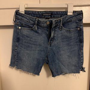 Calvin Klein Jean Shorts